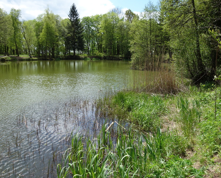 Blick auf den Basaltsee